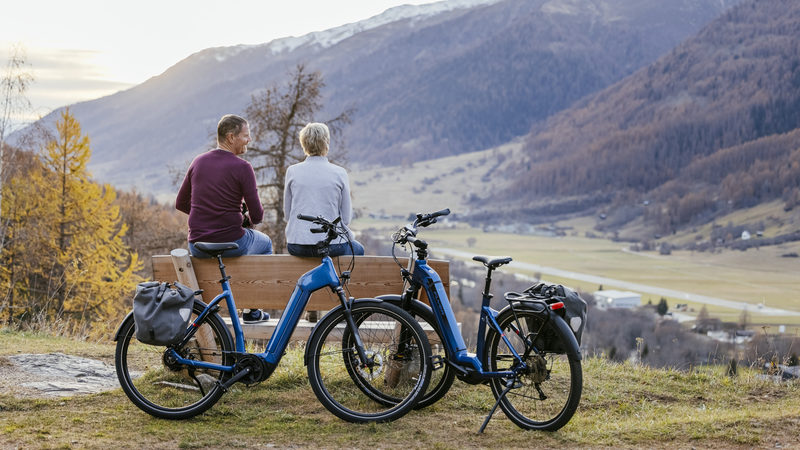 Tiefeinsteiger E-Bike 