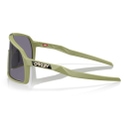 Oakley glasses Sutro S Fern / Prizm Grey