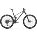 Mondraker Raze Carbon R bronze 2024