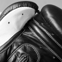 Hammer Boxing Glove Premium Fight 12 OZ