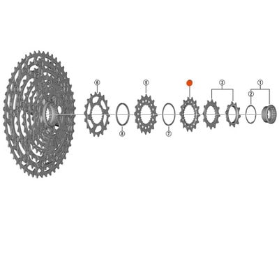 Shimano sprocket 14 teeth C CS-M8100