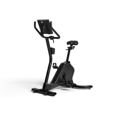 Schwinn 590 Upright Bike