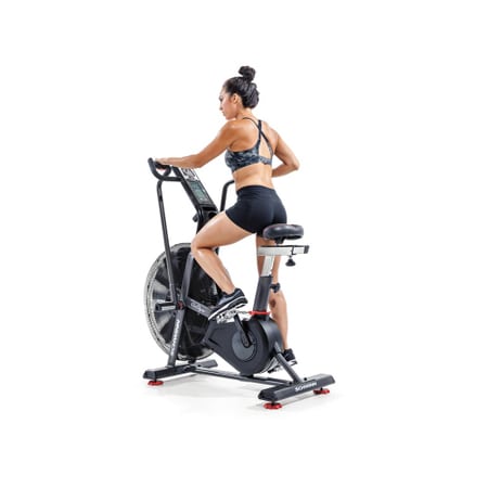 Schwinn Airdyne AD8i Bike